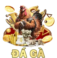 Ưu đãi và Khuyến mãi hấp dẫn